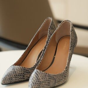 Elegant CK Snakeskin Patterned pointed Toe pumps high Heels size 8M